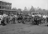 Similar image