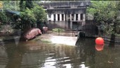 Similar image