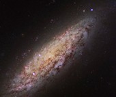 Similar image