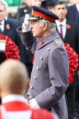 Similar image