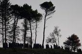 Similar image