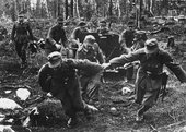 Similar image