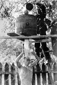 Similar image