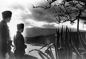 Similar image