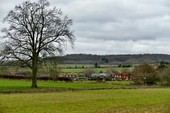 Similar image