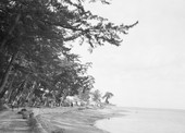 Similar image