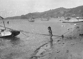 Similar image