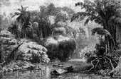 Similar image