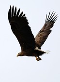 Similar image