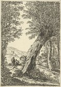 Similar image