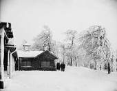 Similar image