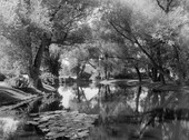 Similar image