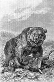 Similar image