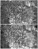 Similar image