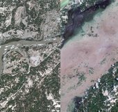 Similar image