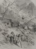 Similar image