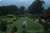 Similar image