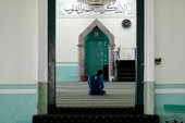 Similar image
