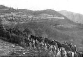 Similar image