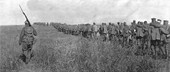 Similar image