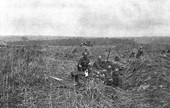 Similar image