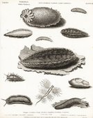 Similar image
