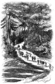 Similar image