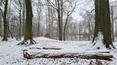 Similar image