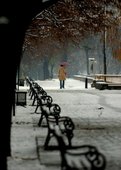 Similar image