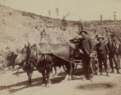 Similar image