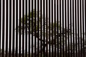Similar image