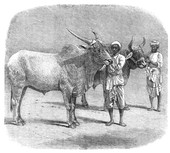 Similar image