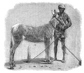 Similar image