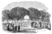 Similar image