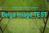 Similar image