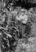 Similar image