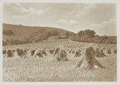 Similar image