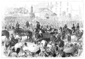 Similar image