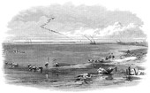 Similar image