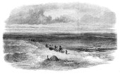 Similar image