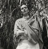 Similar image