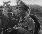 Similar image