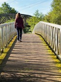 Similar image