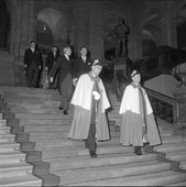 Similar image
