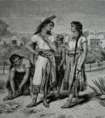 Similar image