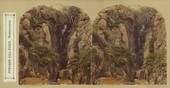 Similar image