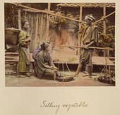 Similar image