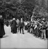 Similar image