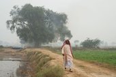 Similar image