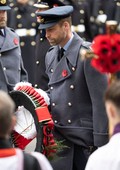 Similar image